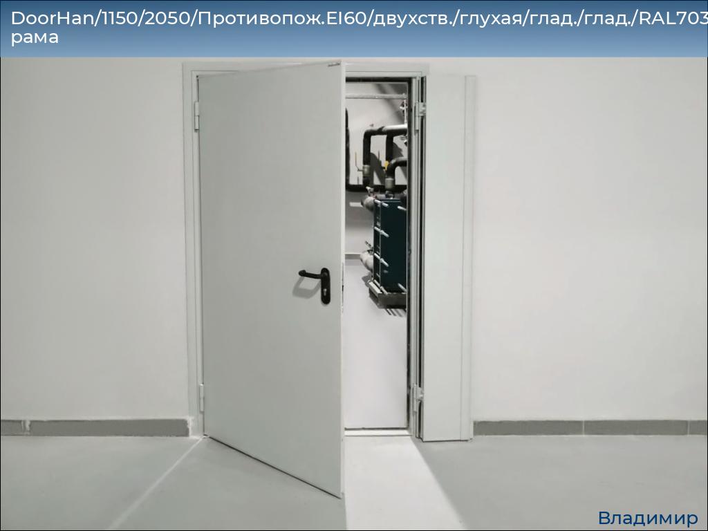 DoorHan/1150/2050/Противопож.EI60/двухств./глухая/глад./глад./RAL7035/лев./угл. рама, vladimir.doorhan.ru
