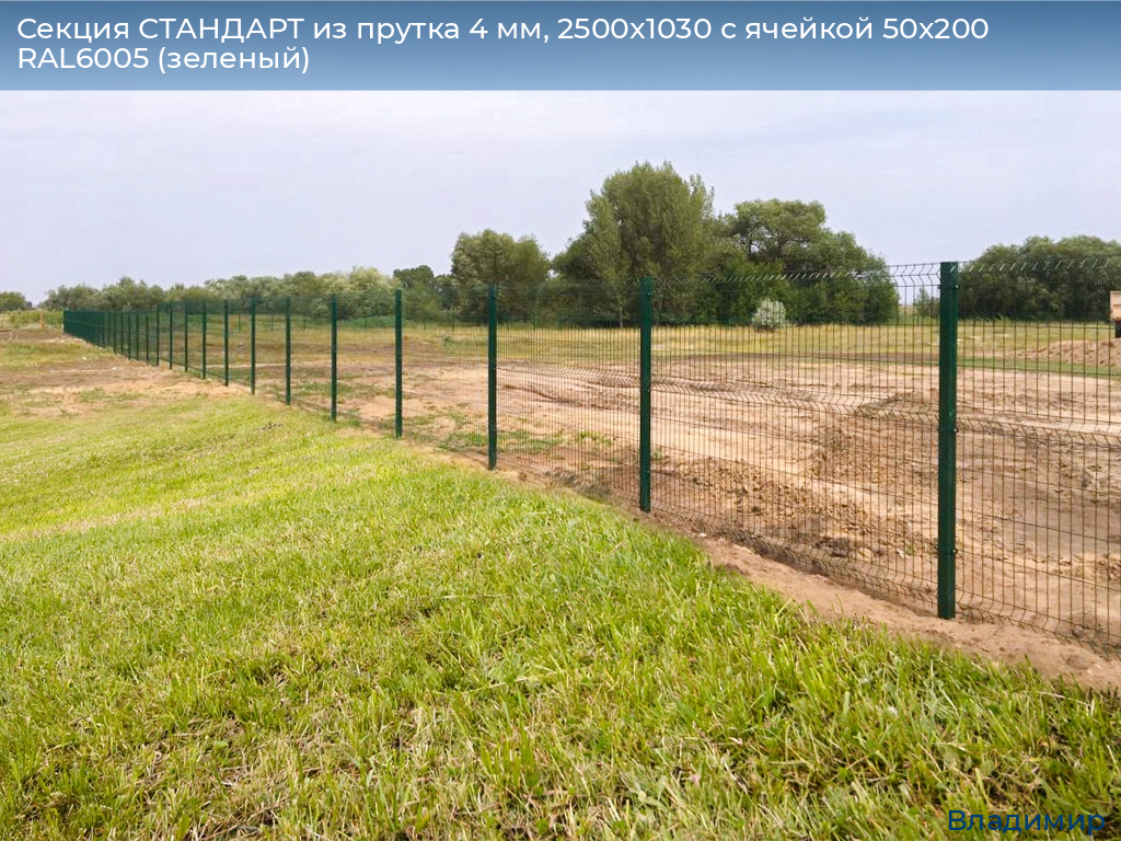 Секция СТАНДАРТ из прутка 4 мм, 2500x1030 с ячейкой 50х200 RAL6005 (зеленый), vladimir.doorhan.ru