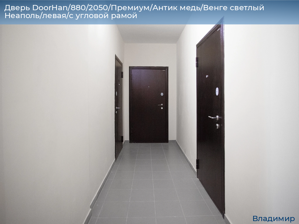 Дверь DoorHan/880/2050/Премиум/Антик медь/Венге светлый Неаполь/левая/с угловой рамой, vladimir.doorhan.ru
