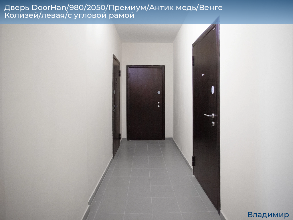 Дверь DoorHan/980/2050/Премиум/Антик медь/Венге Колизей/левая/с угловой рамой, vladimir.doorhan.ru